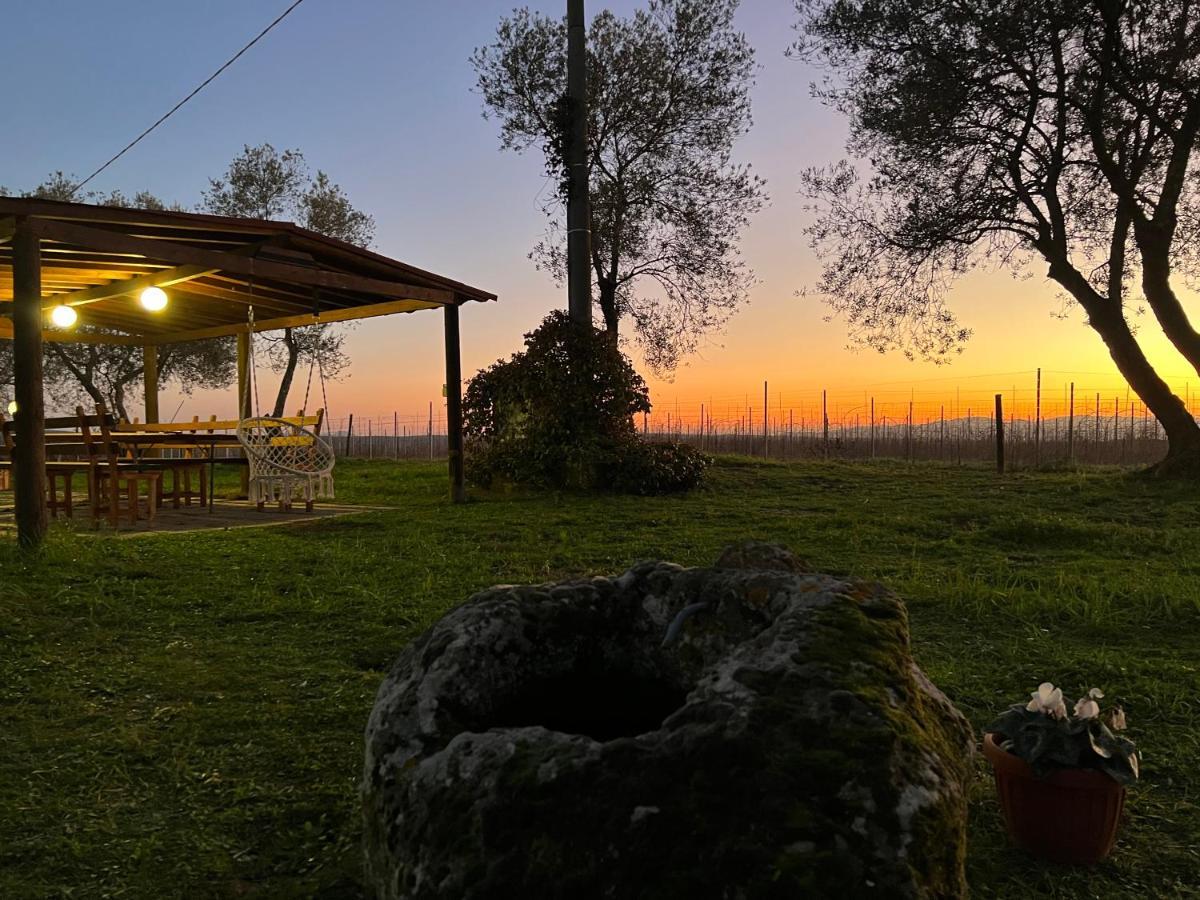 Agriturismo Tenuta Roccaccia Pitigliano Ngoại thất bức ảnh
