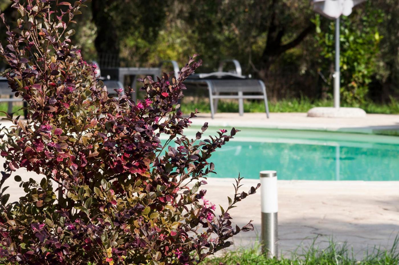Agriturismo Tenuta Roccaccia Pitigliano Ngoại thất bức ảnh
