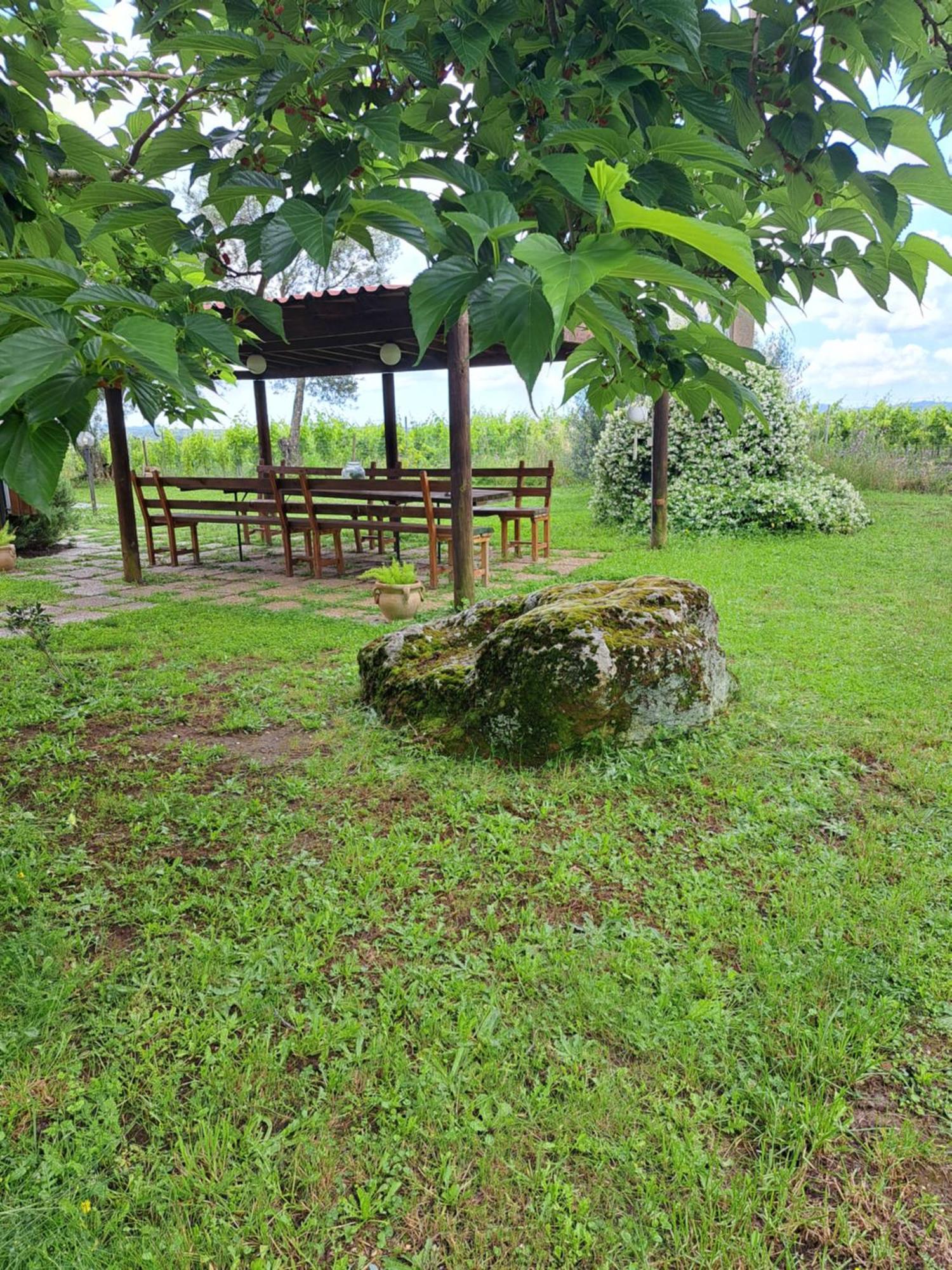 Agriturismo Tenuta Roccaccia Pitigliano Ngoại thất bức ảnh