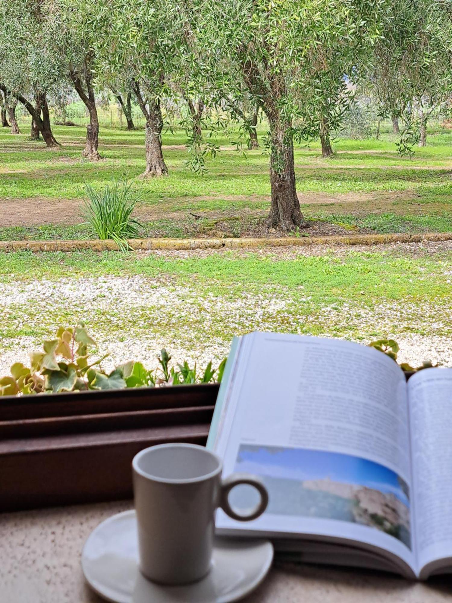 Agriturismo Tenuta Roccaccia Pitigliano Ngoại thất bức ảnh